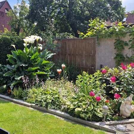 Lang Апартаменты